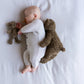 Benny the Bear