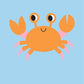 Little Genius Snap Cards - Go Fish