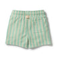 Seafoam Stripe Organic Terry Short