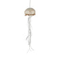 Jellyfish Hanger Foam/Poly 11x35cm Champayne