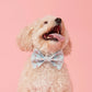BOW TIE - BLUE DOG
