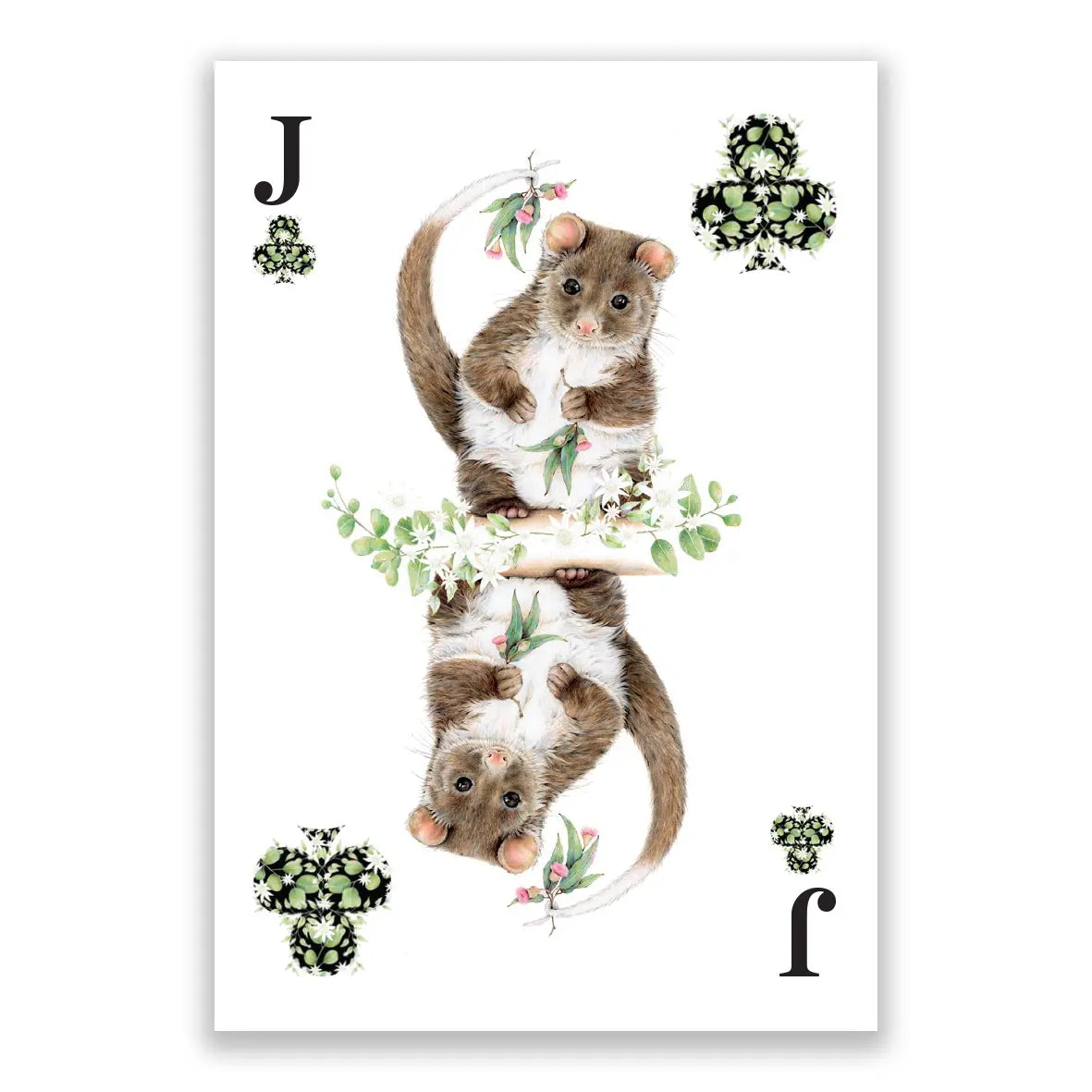 Australian Animals Playing Cards