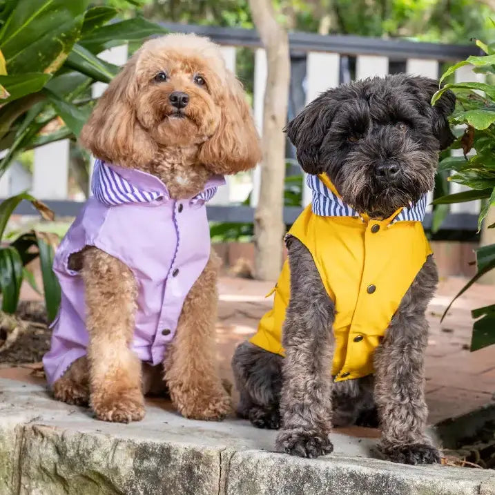 DOGUE Essential Dog Raincoat Purple