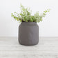 Flax Kitchen Vase 19 cm Charcoal