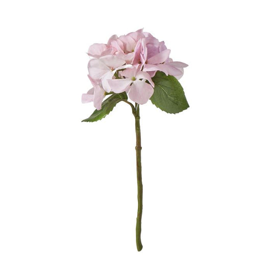 Hydrangea Stems