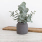 Flax Kitchen Vase 12 cm Charcoal