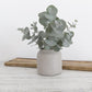 Flax Kitchen Vase  12 cm Grey