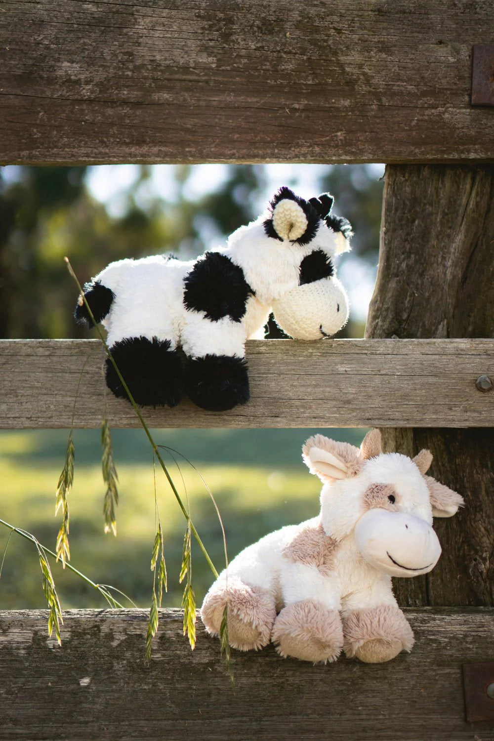 Coco the Cow Beige