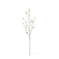 Berry Pod Dried Look Branch Natural 20x8x108cm